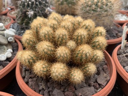 00D3B582 5E30 4D91 A0BF 7E45FF348E47