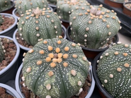 F1E30DEC 22AA 4BAA A197 7979FDD5A609