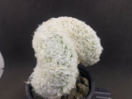 FCFA63EF DC06 4217 A83D A1CF8984D3A1