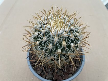 413B9BF9 4E02 45F2 B46B 9BFFFEE13C69