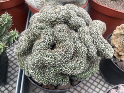 5906E4AF 4FE9 4937 AB00 F5CD9066FBA5