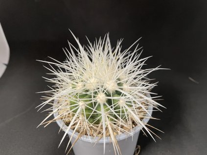 80317240 9CED 4A80 9200 9F62F8F9DBDF