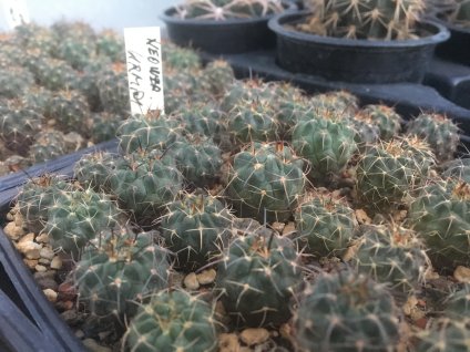 4E7BAF8F E85C 4BB5 8A9A FF5157FAFB5F