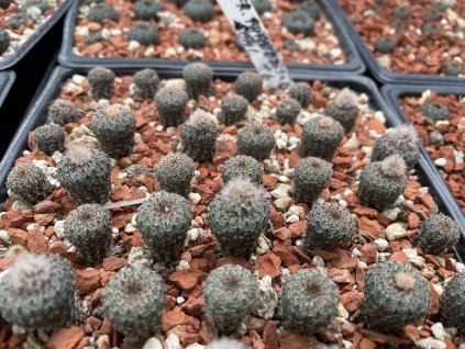 1707E273 B29F 4FB1 83BF 23DFE8B0C38C