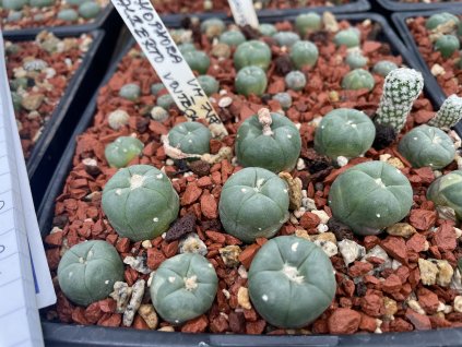 9A75CBF9 5993 4EDF B5BC E721CECB96FB