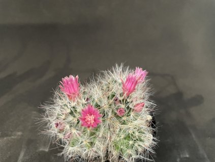 83D6B89C 56E9 4D30 BEFD 121B0B7FBE8C