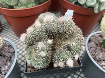 110B45DA 57E7 4D89 B62D 8D57C4C00E30