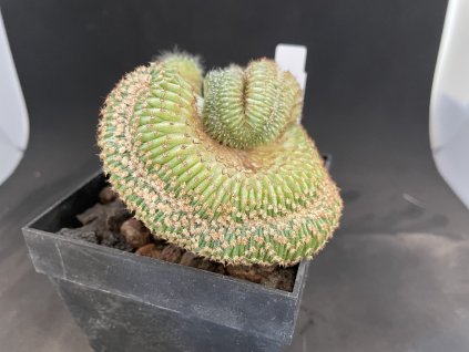 08160D96 EDCE 490C B669 72D1EEF0C114