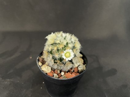 87110E6C 9E4D 494A BAA1 A45221DD712A