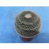 Mammillaria woodsii
