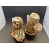 Echinocereus reichenbachi v.minor