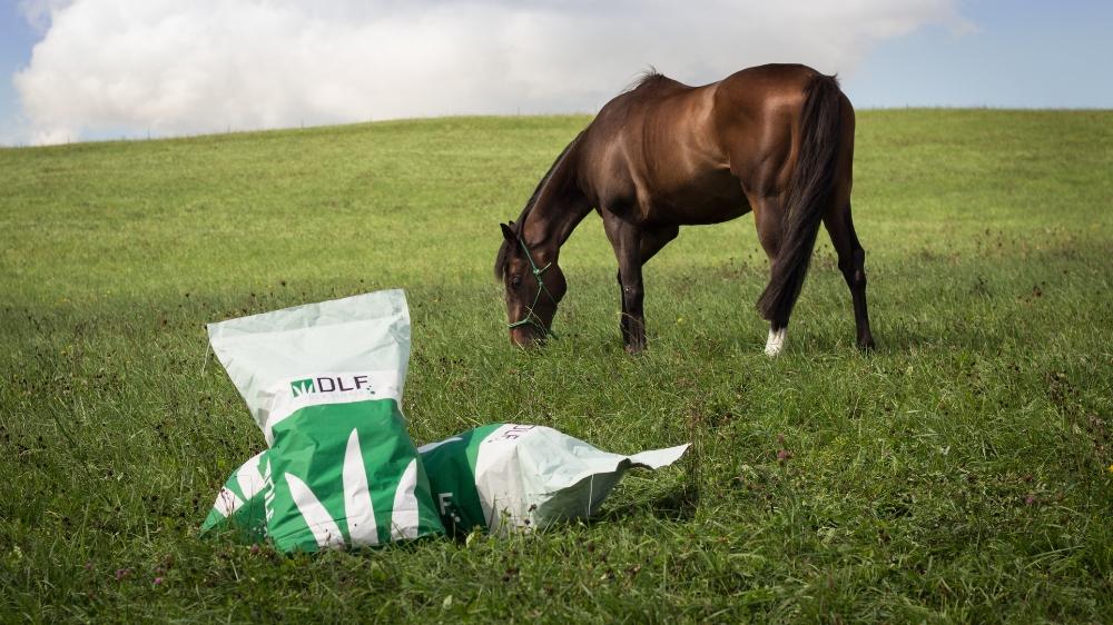 horsemaxprokon_90009000700_m