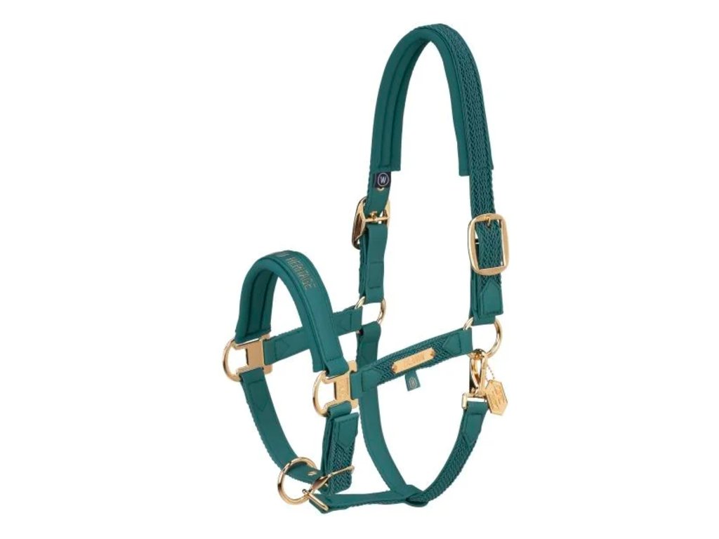 Ohlávka ESKADRON faux leather plait vintage green