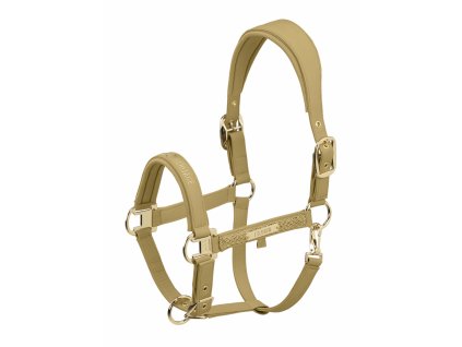 esk 420158 862 160 f