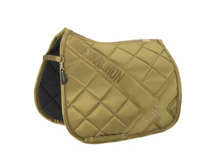 esk 214958 484 160 f