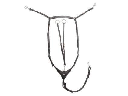 Poprsník Kavalkade Dexter černý