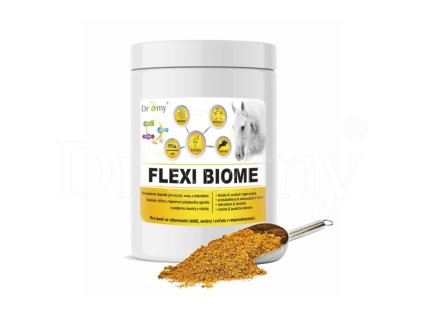 Návrh bez názvu 2026 01 21T094223.711