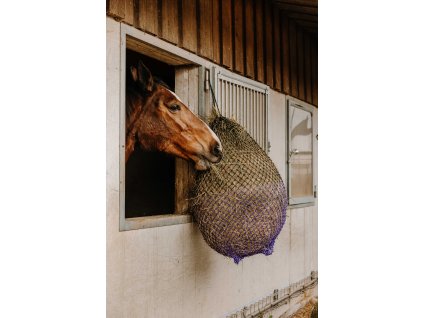 306834217 ambi 1 web