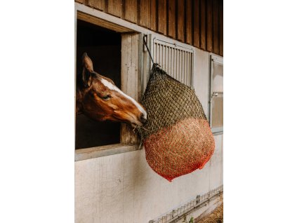 306834203 ambi 1 web