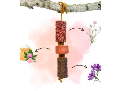 Snímek obrazovky 2026 01 30 v 10.30.56