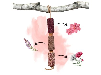 Návrh bez názvu (7)