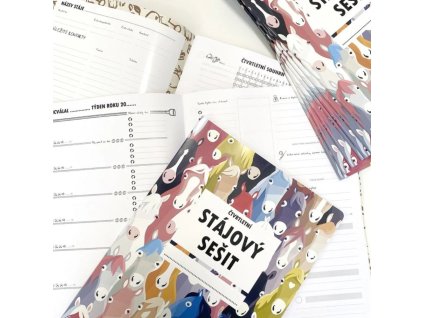 Návrh bez názvu (29)