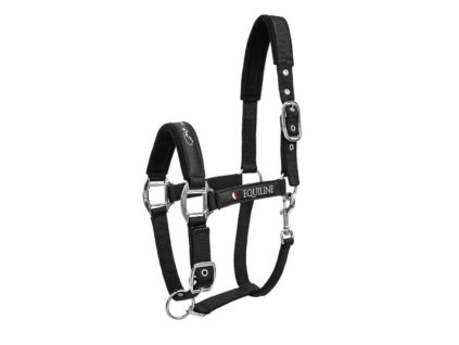 Návrh bez názvu (16)