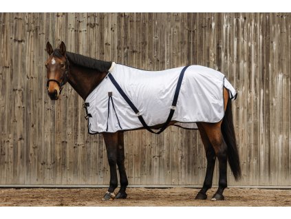 400353063 ambi 1 web