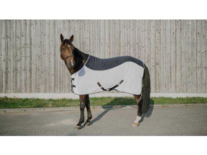 400003063 ambi 2 web