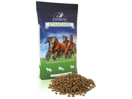 energys standard
