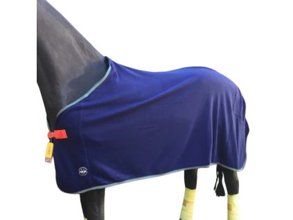 Návrh bez názvu (21)