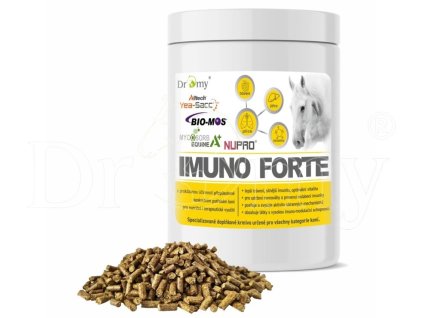 291 imino (kopie)