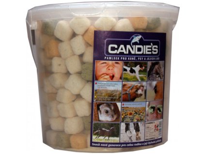 Pochoutka Candies kyblík 500g classic
