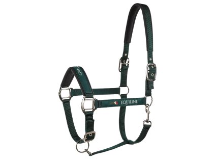 Návrh bez názvu (6)