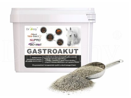 GastroAkut DROMY 2kg