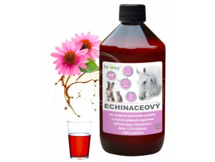 Echinaceový sirup DROMY 1l