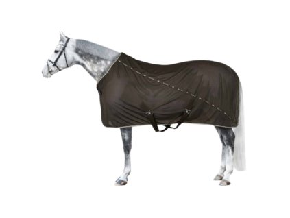 Návrh bez názvu (6)