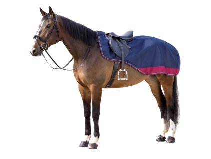 Návrh bez názvu (20)