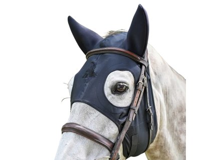 Návrh bez názvu (2)