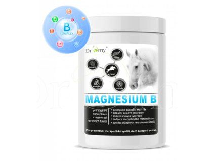 Dromy Magnesium B