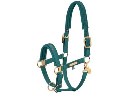 Ohlávka ESKADRON faux leather plait vintage green