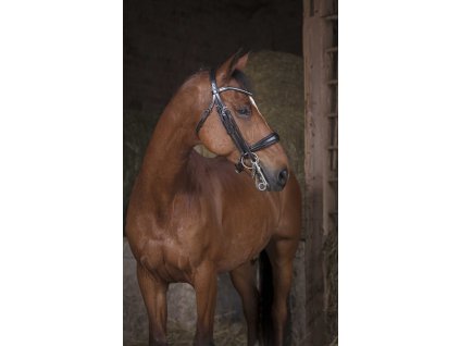 303030302 ambi 1 web