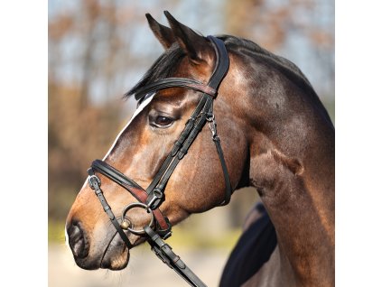 Uzdečka Kavalkade Everyday černá