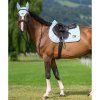 tommy hilfiger equestrian (27)