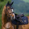 tommy hilfiger equestrian (16)