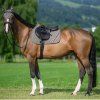 tommy hilfiger equestrian (11)