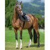 tommy hilfiger equestrian (12)
