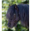 50411542 PON 76
