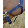 510032007 ambi 5 web