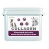 Dromy Collagen 2500g/90dávek
